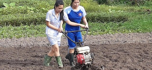 Không giới hạn 12