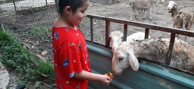 Không giới hạn 25