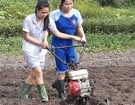 Không giới hạn 12