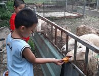 Không giới hạn 18