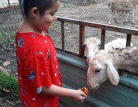 Không giới hạn 25