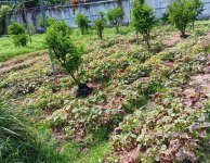 Cơ sở vật chất