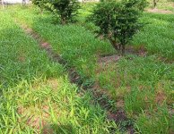 Cơ sở vật chất