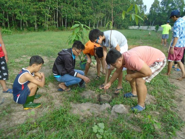 Tham quan và trồng cây