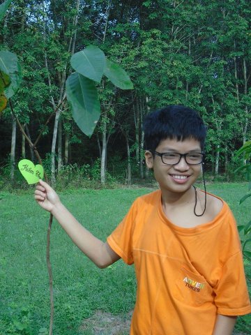 Tham quan và trồng cây