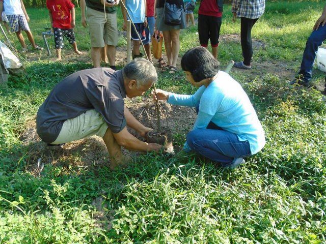 Tham quan và trồng cây