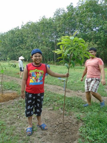 Tham quan và trồng câyt