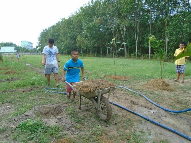 Tham quan và trồng cây