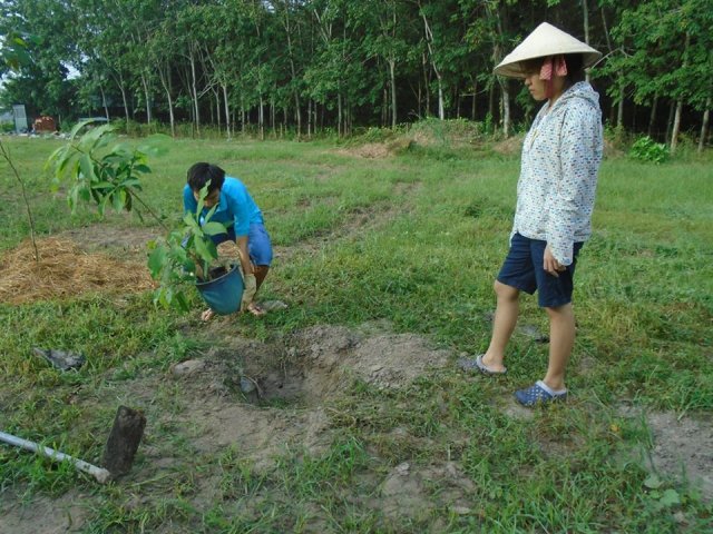 Tham quan và trồng cây