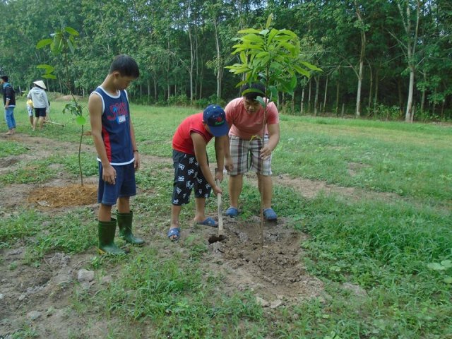 Tham quan và trồng cây