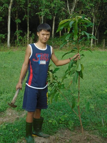 Tham quan và trồng cây