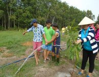 Tham quan và trồng cây