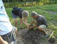 Tham quan và trồng cây