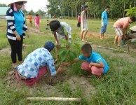 Tham quan và trồng cây