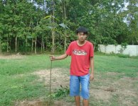 Tham quan và trồng cây