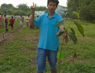 Tham quan và trồng cây