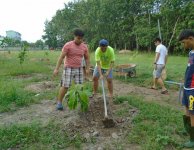 Tham quan và trồng cây