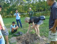 Tham quan và trồng cây