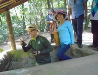 Tham quan và trồng cây