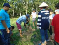 Tham quan và trồng cây