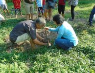 Tham quan và trồng cây