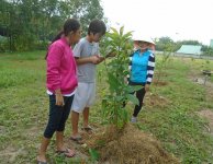 Tham quan và trồng cây