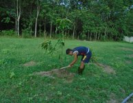 Tham quan và trồng cây