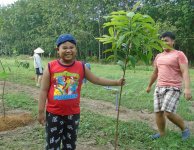 Tham quan và trồng câyt