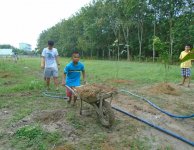 Tham quan và trồng cây