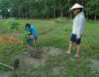 Tham quan và trồng cây