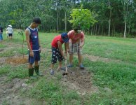 Tham quan và trồng cây