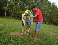 Tham quan và trồng cây