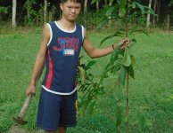 Tham quan và trồng cây